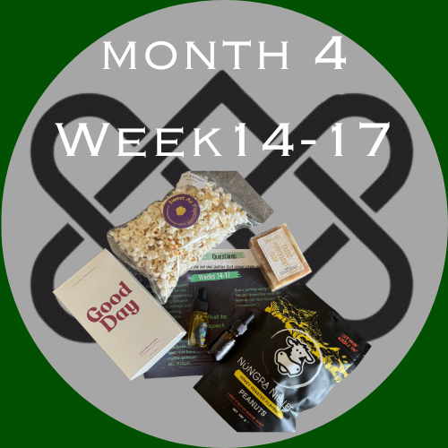 Pregnancy Box for Him (Week 14-17)