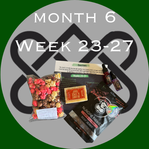 Pregnancy Box For Him (Week 23-27)