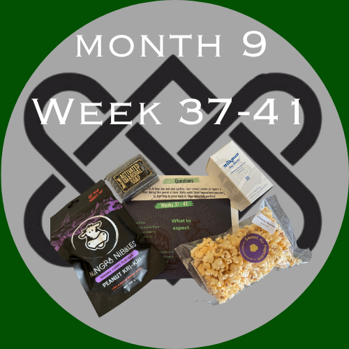 Pregnancy Box For Him (Week 37-41)