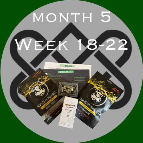 Pregnancy Box For Him (Week 18-22)